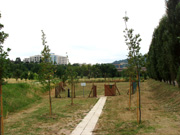 Parco Cortonese